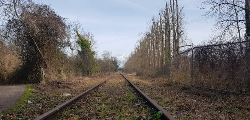 Bristol - Portishead - die stillgelegte Strecke wurde noch lange für Güterzüge genutzt